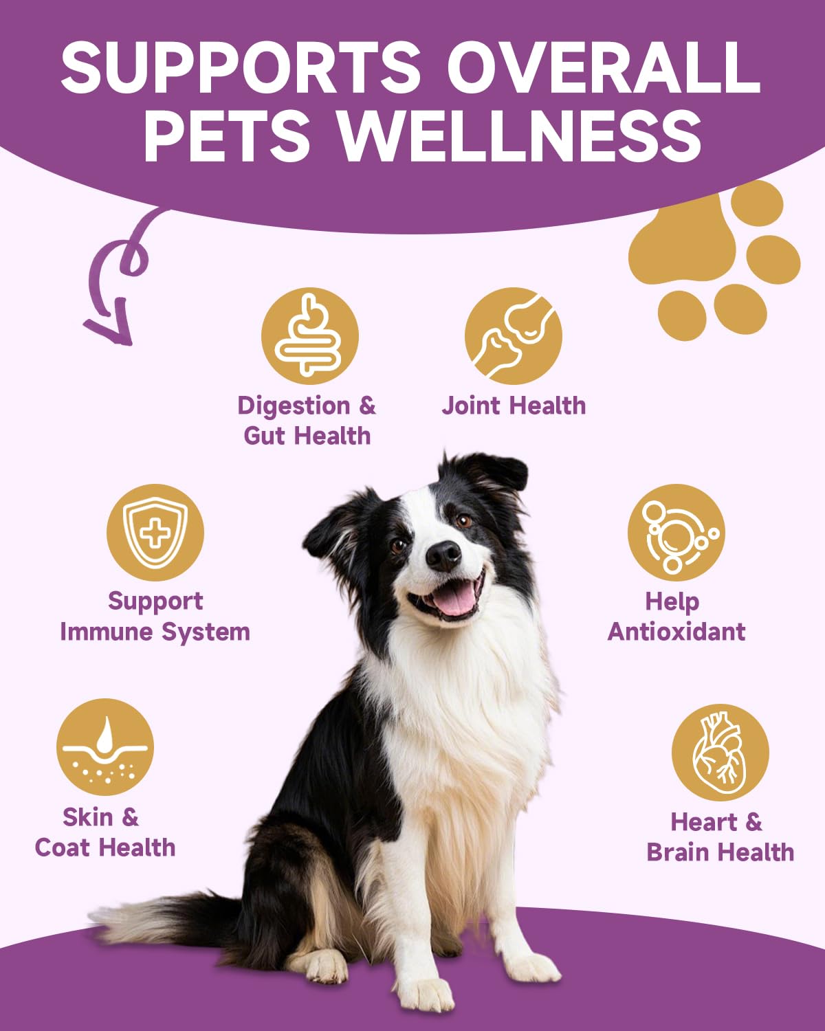 NaSeny Mushroom for Dogs & Cats - Turkey Tail for Dogs - 10 Organic Mushroom Supplement with Turkey Tail, Reishi, Lions Mane - Lumps & Bumps, Immunity, Gut, Skin, Joint Health - Chicken Flavor