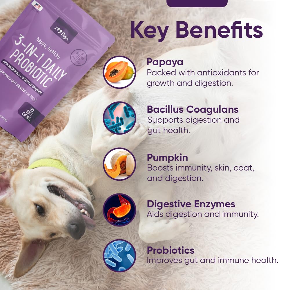 iHeartDogs 3-in-1 Probiotic for Dogs with Pumpkin for Improved Digestion & Gut Health - Dog Probiotics and Digestive Enzymes, 90 Count