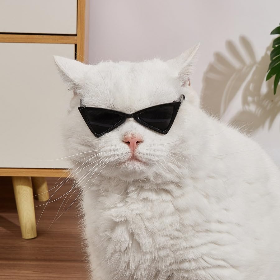 BAIRUYAO 5PCS Cat Dog Sunglasses Classic Retro Pet Glasses,UV Protection Trendy Cute Hip-hop Funny Pet Glasses for Cosplay Costume Photos Props Road Trip Christmas