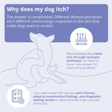 Load image into Gallery viewer, Miconahex+ Triz Spray for Dogs Cats and Horses, 16 oz