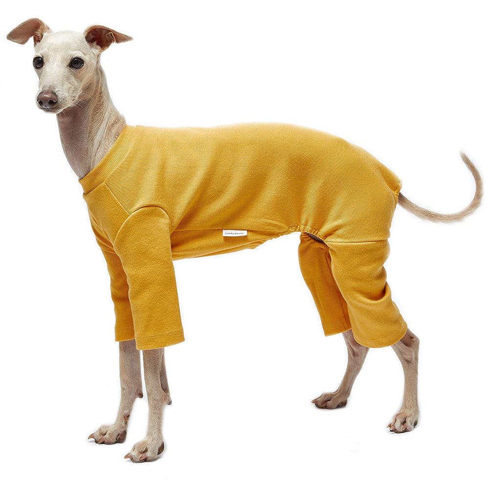 Lucky Petter Small Dog Pajamas - Basic Onesie Doggie Jammies Stretchable Dog Jumpsuit Bodysuit pjs (2X-Large, Basic Mustard)