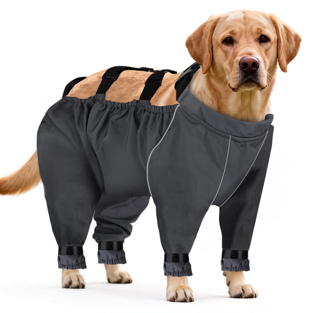 Dog Snow Pants,Puppy Snow Clothes for Winter,Full Body Dog Coat,Puppy Snowsuit with Out Boots,Adjustable Suspender Suits for Outdoor Walking & Paw Protectors