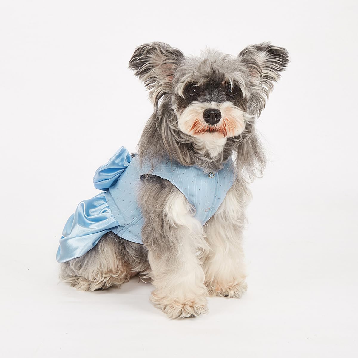 PawPleasure Dog Dress Pet Wedding Dress Princess Puppy Birthday Party Outfit Formal Apparel Girl for Small Medium Dogs Cats (Light Blue, Large)