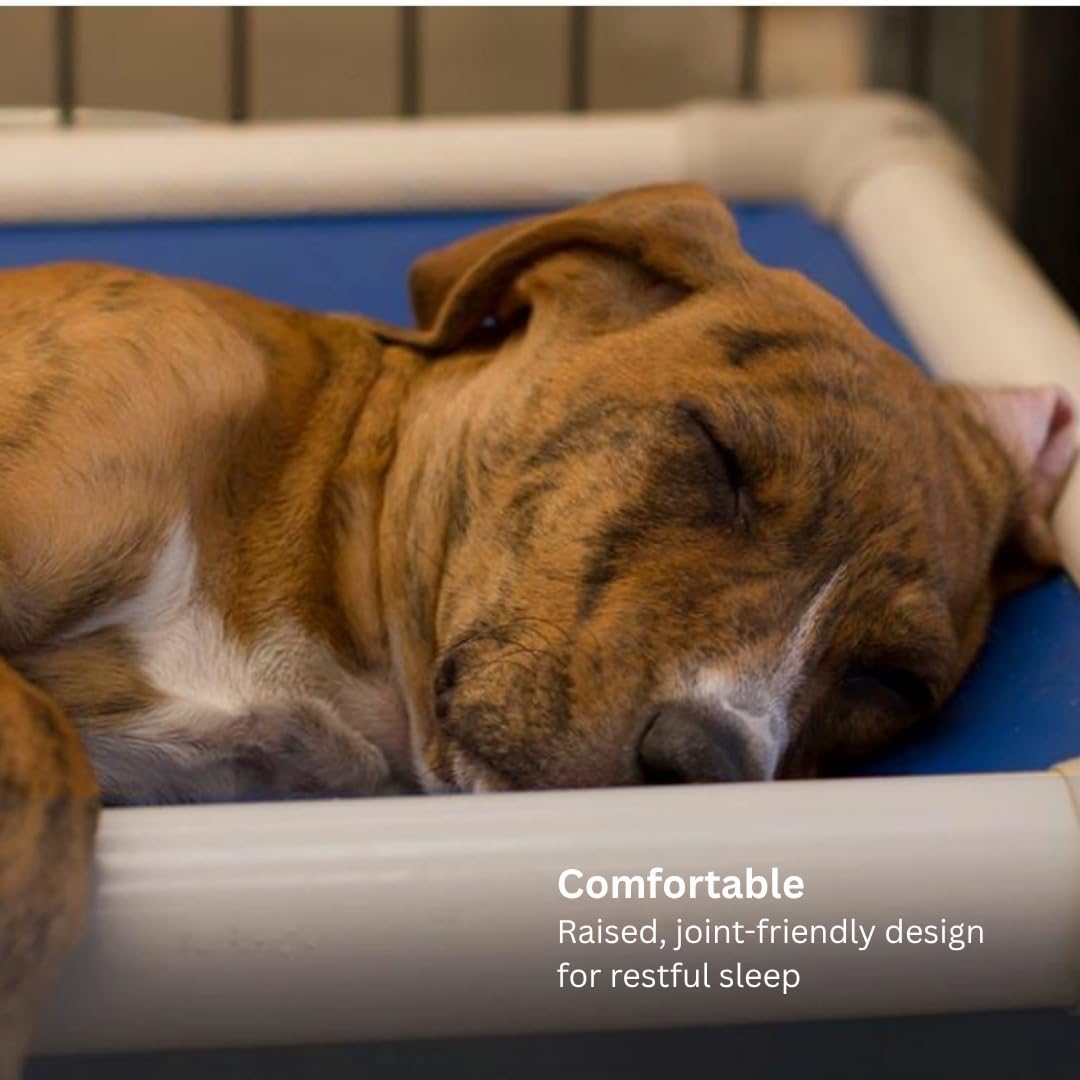 Kuranda Chewproof Elevated Pet Bed - Almond PVC - 50" x 36" - Cordura Nylon - Gold