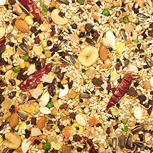 Higgins 2 Pack of Mayan Harvest Tikal Parrot Food, 3 Pounds Each