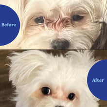 Load image into Gallery viewer, Angels’ Eyes Natural Tear Stain Supplement Chews for Dogs, Prevent Stained Fur, with Oregon Grape Root, Marshmallow Root, Colostrum, No Wheat or Corn, 120ct Chicken