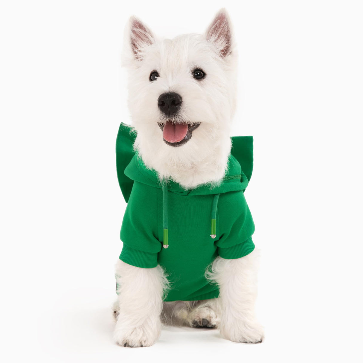 Allisandro Dog Hoodie with Interchangeable Bow Ties, Puppy Exquisite Pocket Doggie Winter Clothes, Pet Hooded Sweatshirt, L, Green