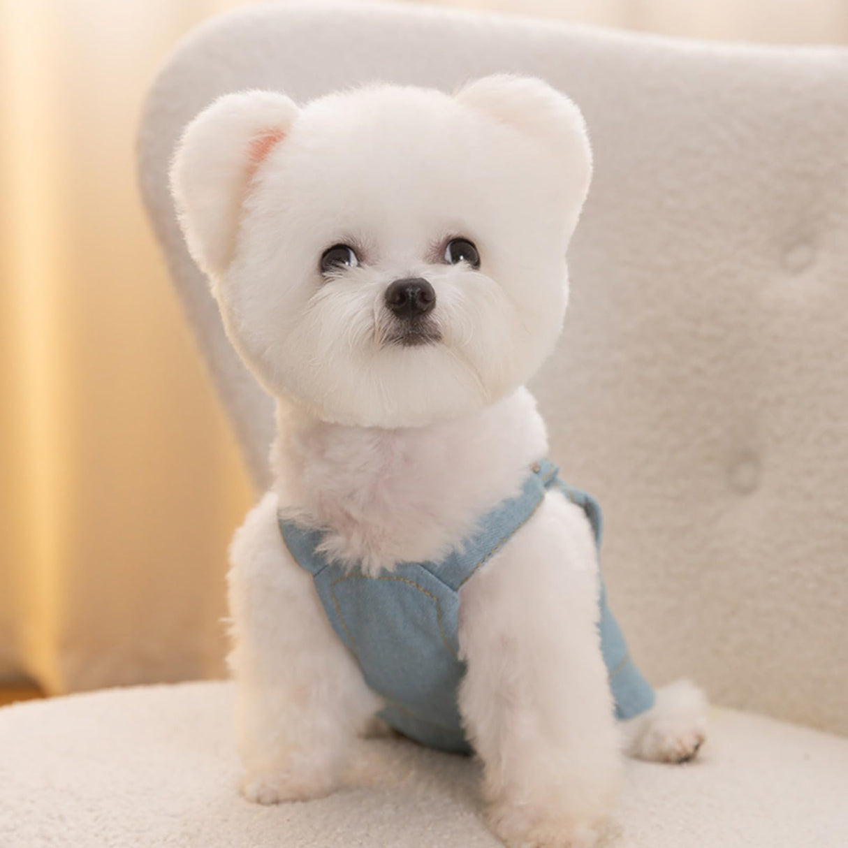 Dog Clothes Denim Dog Dresses for Small Dogs Harness Dress Puppy Clothes with Leash Ring Dog Costume with Pocket Summer Cat Apparel Dog Clothes Cat Shirts Small Dog Dresses Female Light Blue X-Large
