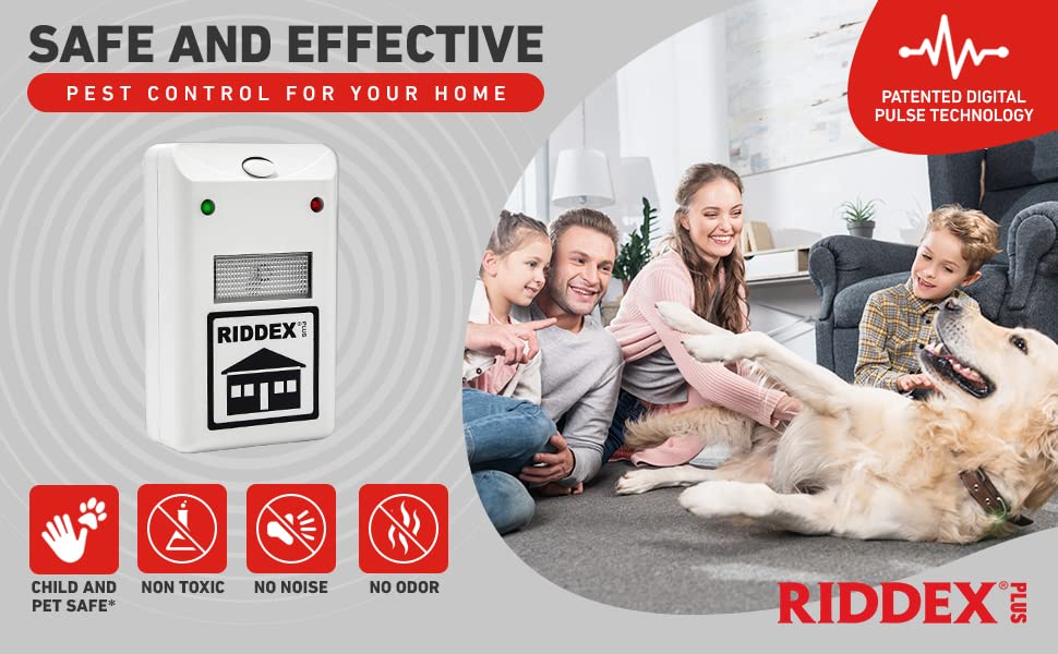 RIDDEX Plus Insect Repellent | Plug in, Mouse Deterrent - Pest Control for Defense Against Rats, Mice, Roaches, Bugs and Insects | Control Pests with No Chemicals or Poison | 2 Pack White