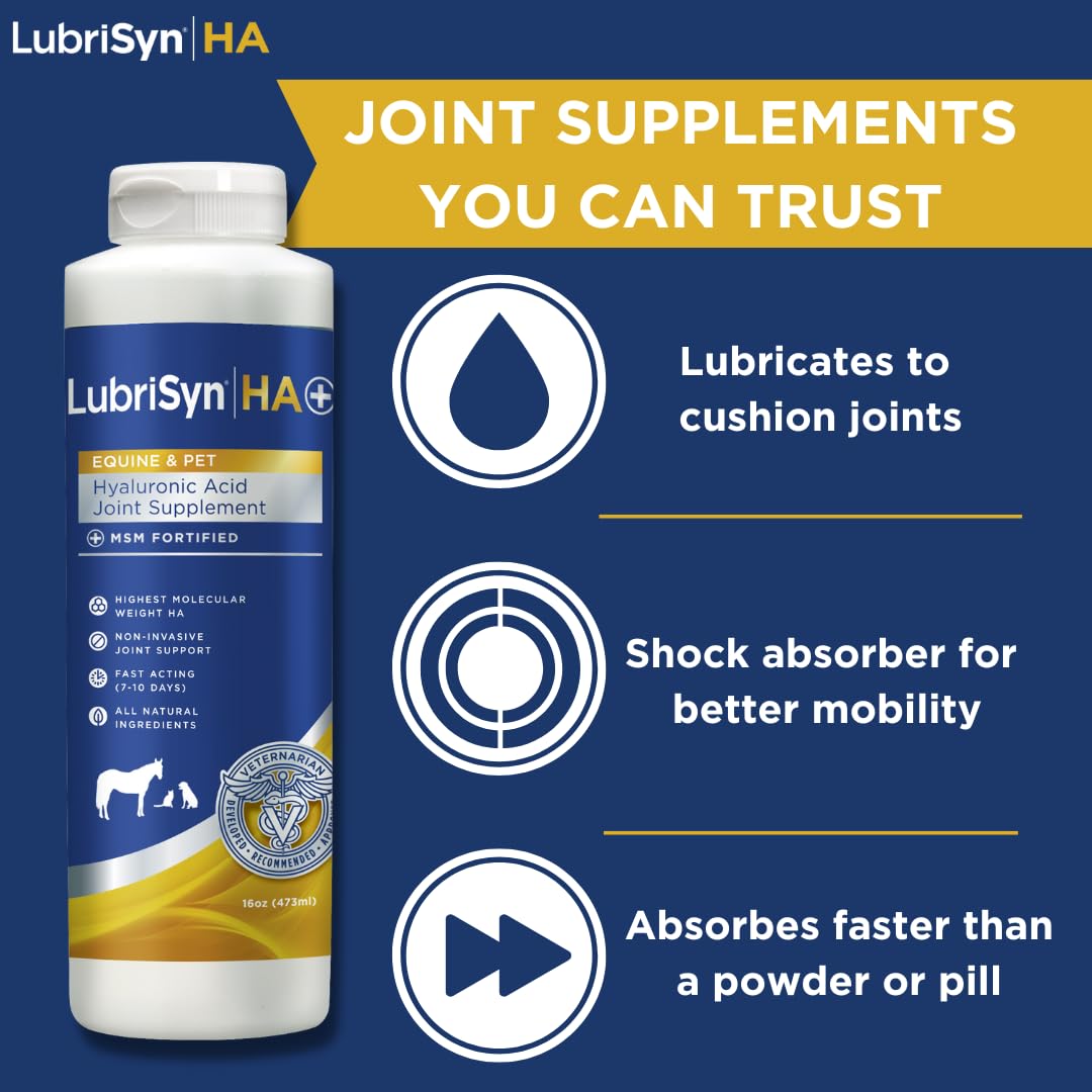 LubriSynHA Hyaluronic Acid with MSM Hip & Joint Care Supplement for Dogs, Cats & Horses – Liquid Oral HA for Pets – Joint Support Promotes Mobility, Flexibility, Cartilage Health & Comfort – 16oz