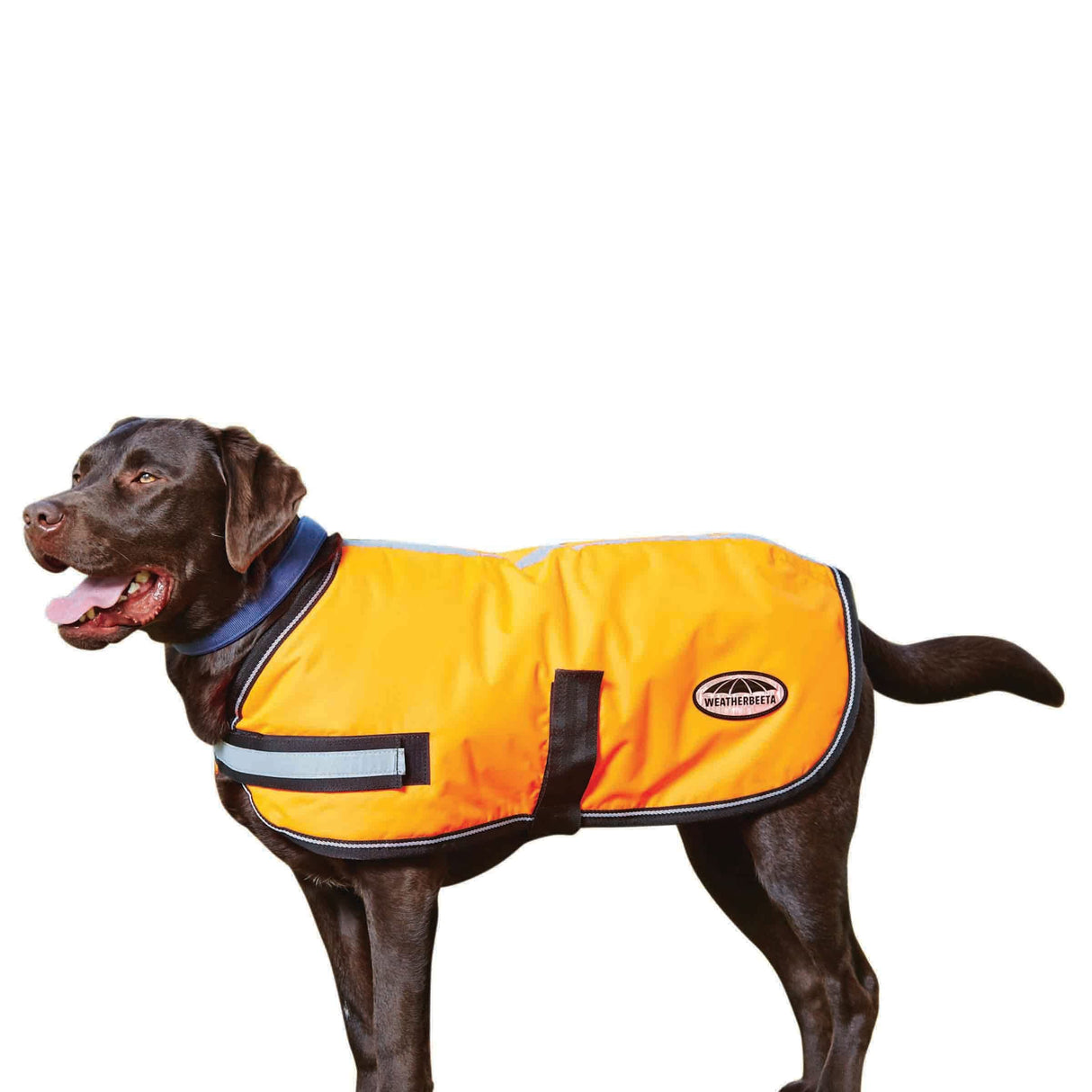 WeatherBeeta ComFiTec Reflective Parka 300D Dog Coat, Orange, 28"