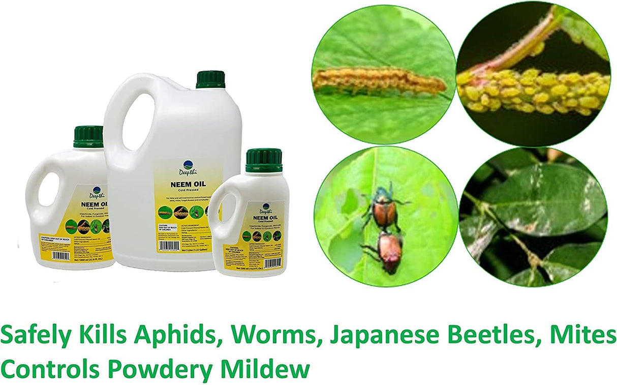 Deepthi Pure Neem Oil for Plants - Concentrated - Cold Pressed - Spray for Indoor Outdoor Garden - 100% Neem Oil - Natural Insecticide – Controls Mildew - 16.9 Fluid Oz (500 ml)