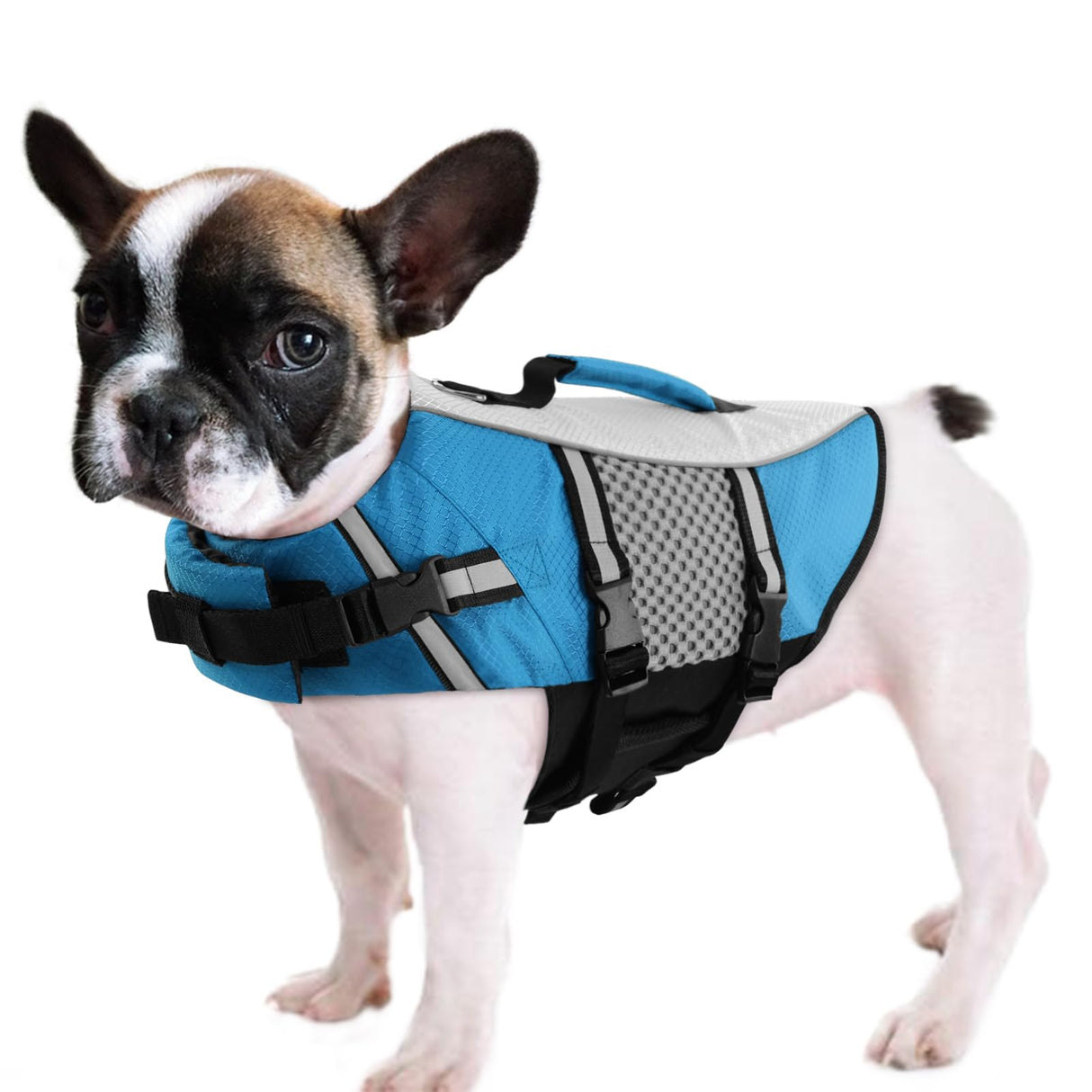 Queenmore Dog Life Jacket Vest for Swimming Boating Kayaking, Small Medium Doggie Puppy Life Preserver Lifesaver Pet PFD Lifejacket Safety Water Vest Pool Floatie (New Blue,L)