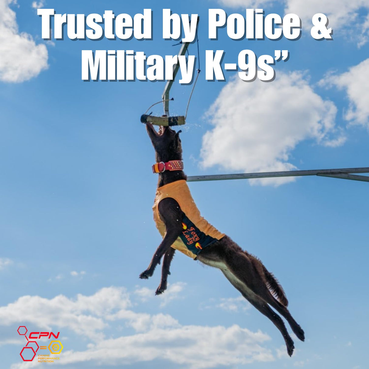 Vertex High-Performance Dog Supplement – Predigested Liver, Whey & Egg Protein – Supports Muscle, Recovery, Fertility, Digestion & Milk Production – Ideal for Working, Breeding & Active Dogs - 4LBS