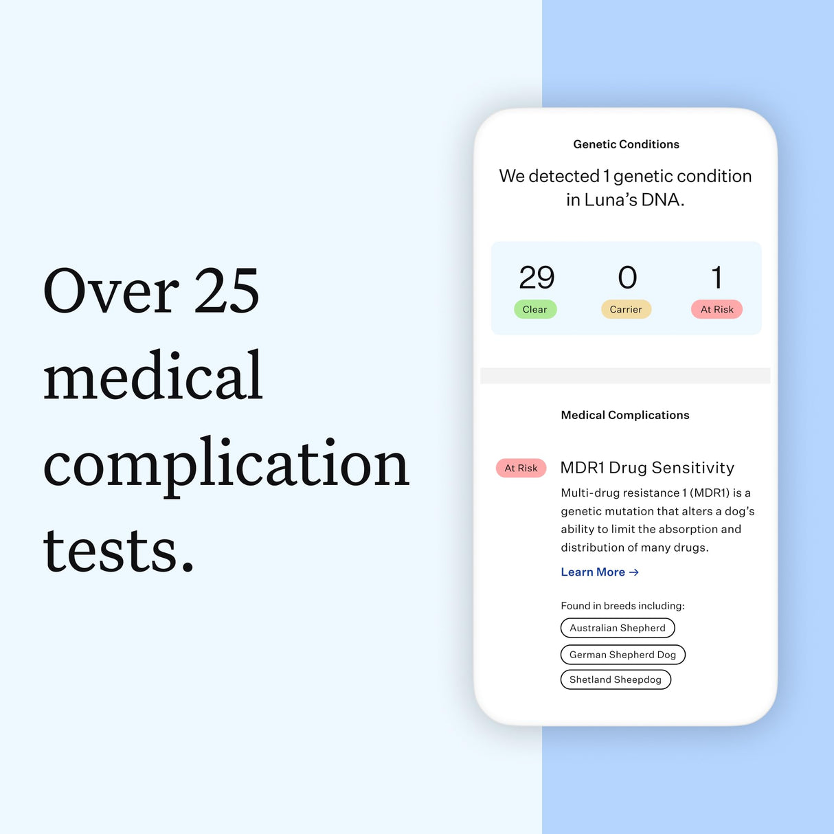 Wisdom Health Essential Dog DNA Kit | Most Accurate Test | 365+ Breeds | 30 Genetic Health Conditions | 50+ Traits, Relatives, Ancestry | Pack of 1