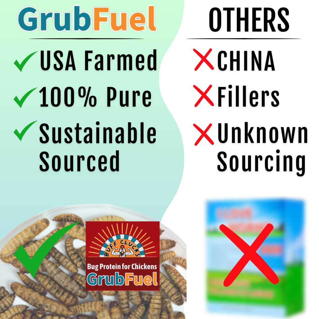 Buff Clucks Grub Fuel Black Soldier Fly Larvae for Chickens - Nutrient-Packed BSFL, Sustainably Sourced Snack for Poultry, Rich in Protein, Calcium, Fiber, Essential Fatty Acids, USA Grown (1LB)