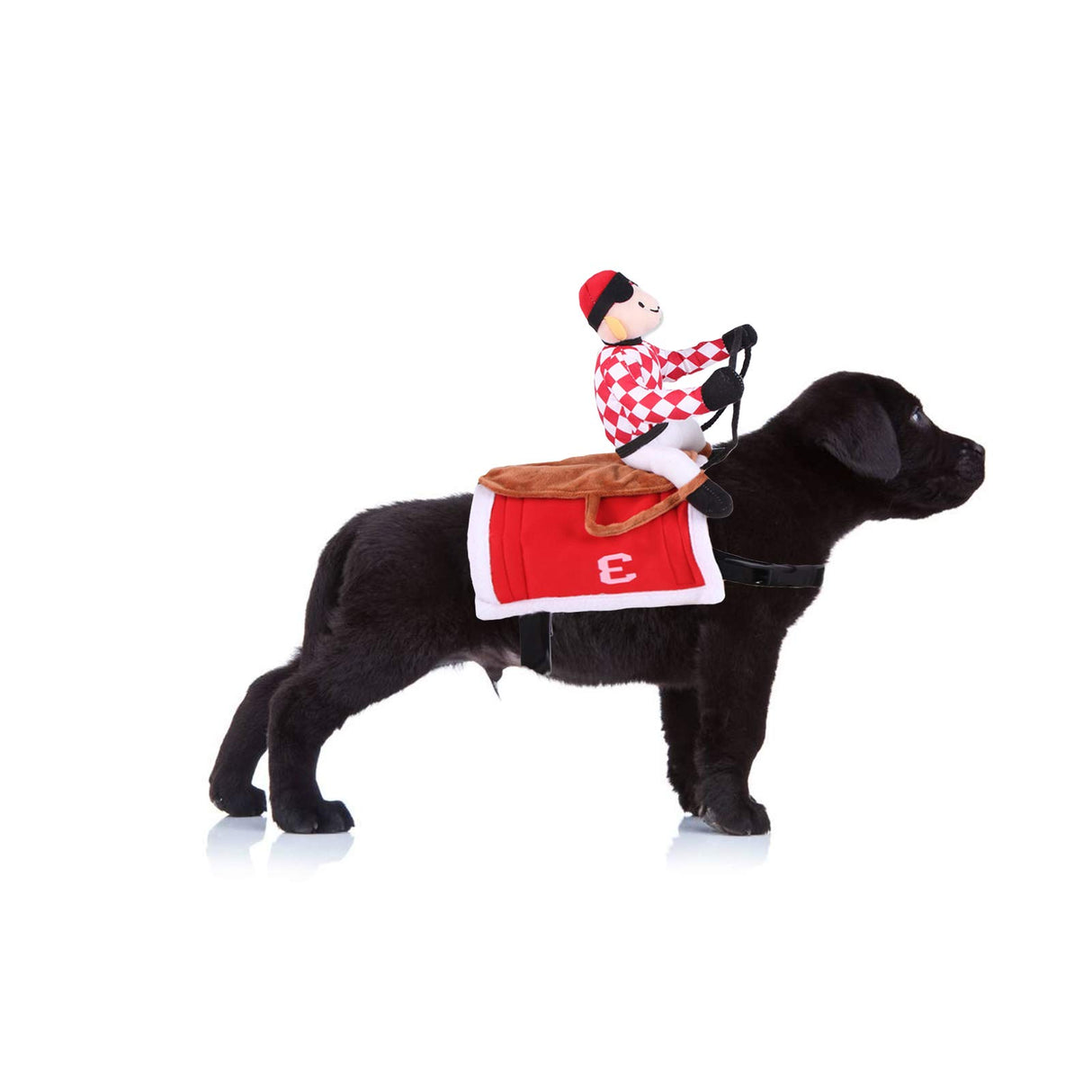 SEIS Halloween Dog Jockey Pet Horse Race Costume Cat Funny Clothes for Halloween Party Cosplay Taking Photo (XXS (Chest Circumference 30-40cm/11.8"*15.7"))