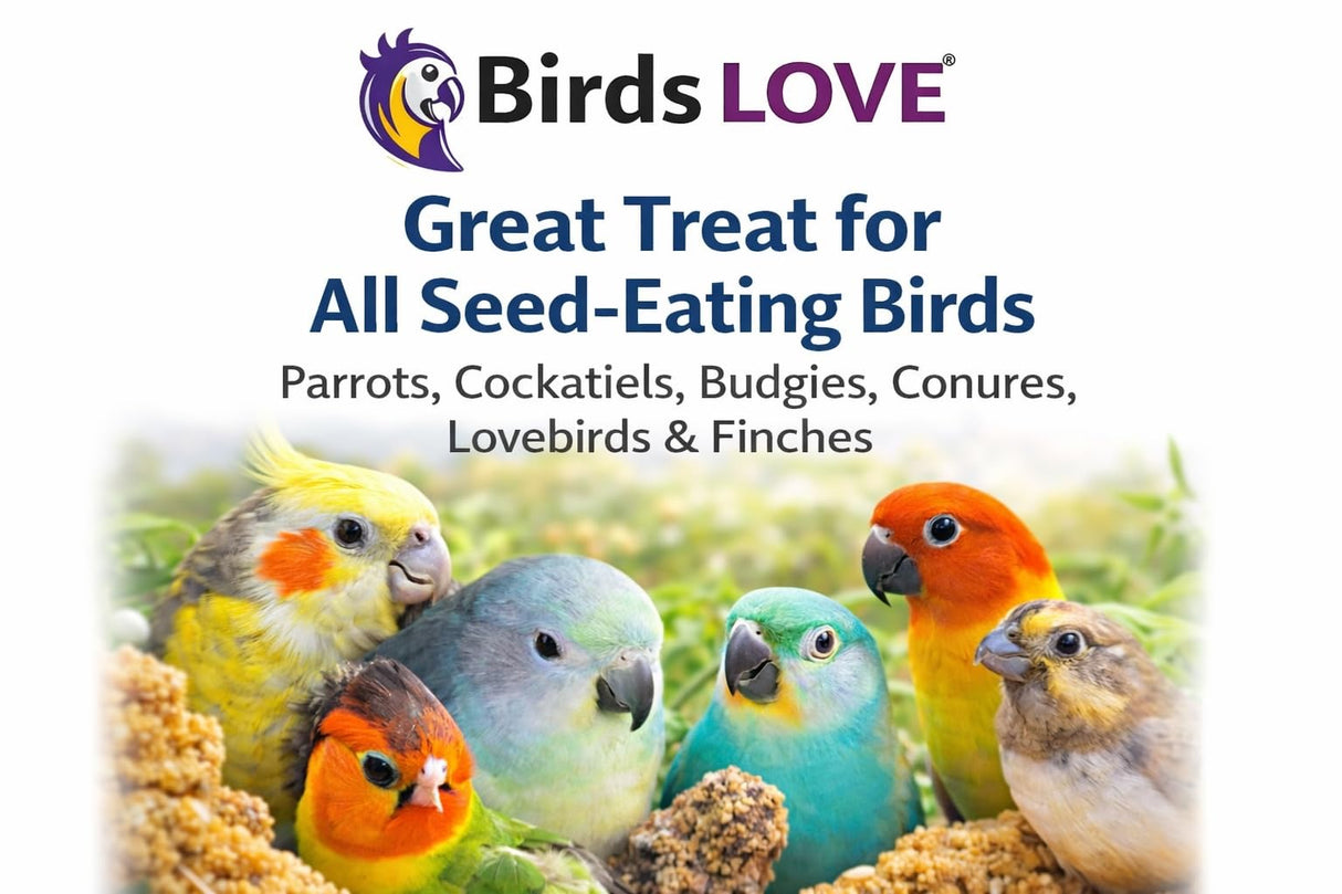 5lbs Wholesome Spray Millet for Birds β USA Grown, Harvested & Packed β 100% Natural Sun-Dried Millet Clusters β for Parakeets, Cockatiels, Conures, Budgies, Finches & All Parrots