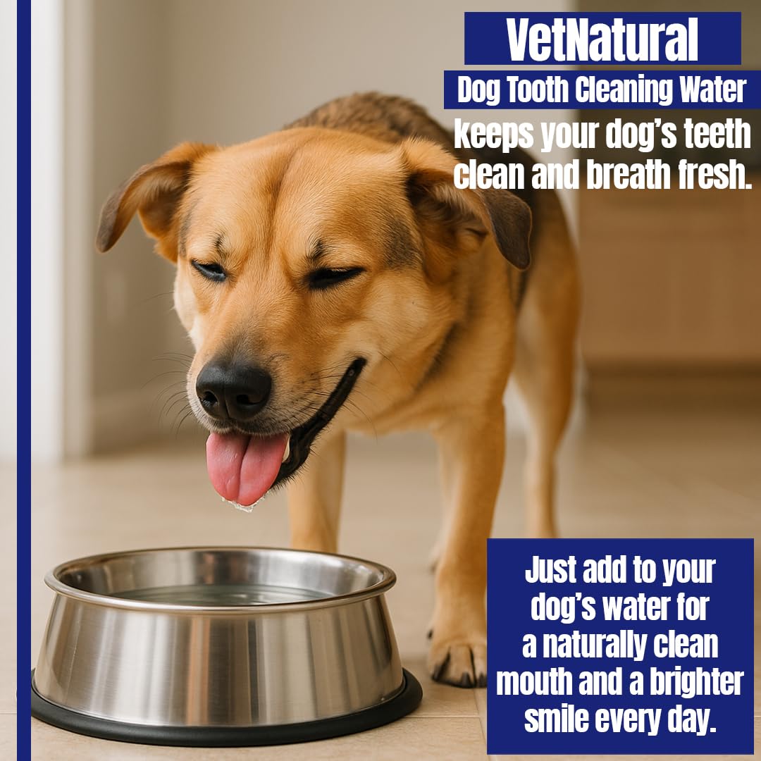 PawBright Dental Plus, Dog Dental Plus Water Natural, Odorless & Flavorless Formula to Fight Tartar Promote Healthy Gums, Easy Daily Use for All Pet 1pcs (8.45oz)