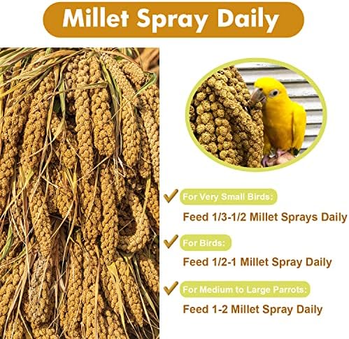 Jmxu's 2LB Spray Millet Treat for Birds Parakeets, Natural Sun-Dried Birds Millet for Cockatiel, Finches, Parrots, Hamster