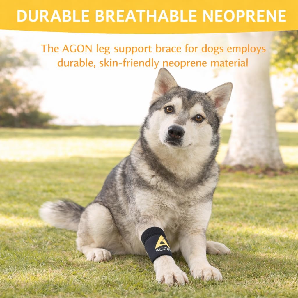 Agon® Dog Canine Front Leg Brace Paw Compression Wraps with Protects Wounds Brace Heals and Prevents Injuries and Sprains Helps with Loss of Stability Caused by Arthritis (Large/X-Large)