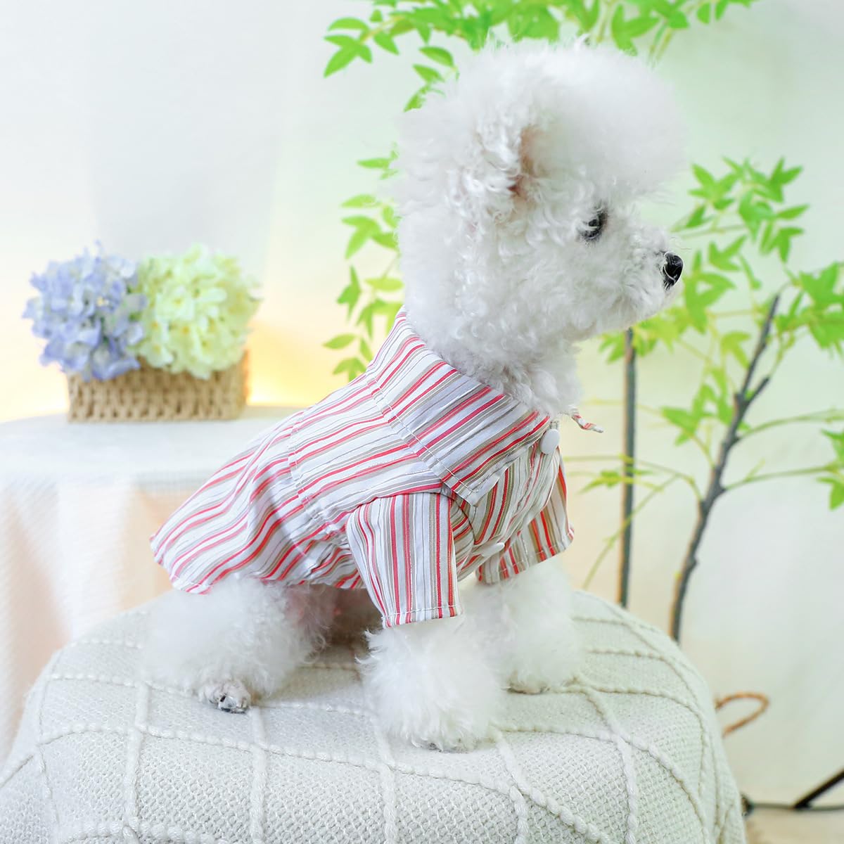 Dog Shirts for Small Dogs Cat Apparel Overalls Puppy Striped Pajamas Breathable Vest Summer Sweatshirt Lightweight Pet Clothes Birthday Holiday Outfits Red M
