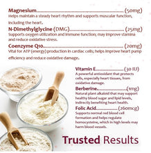 Load image into Gallery viewer, Heart Support Supplement for Dogs-Vet-Formulated, Antioxidant-Rich-L-Taurine, L-Carnitine,EPA,DHA,CoQ10-Aids Circulatory Strength, Cardiovascular Support, Heart Muscle Function-USA Made-60 Soft Chews