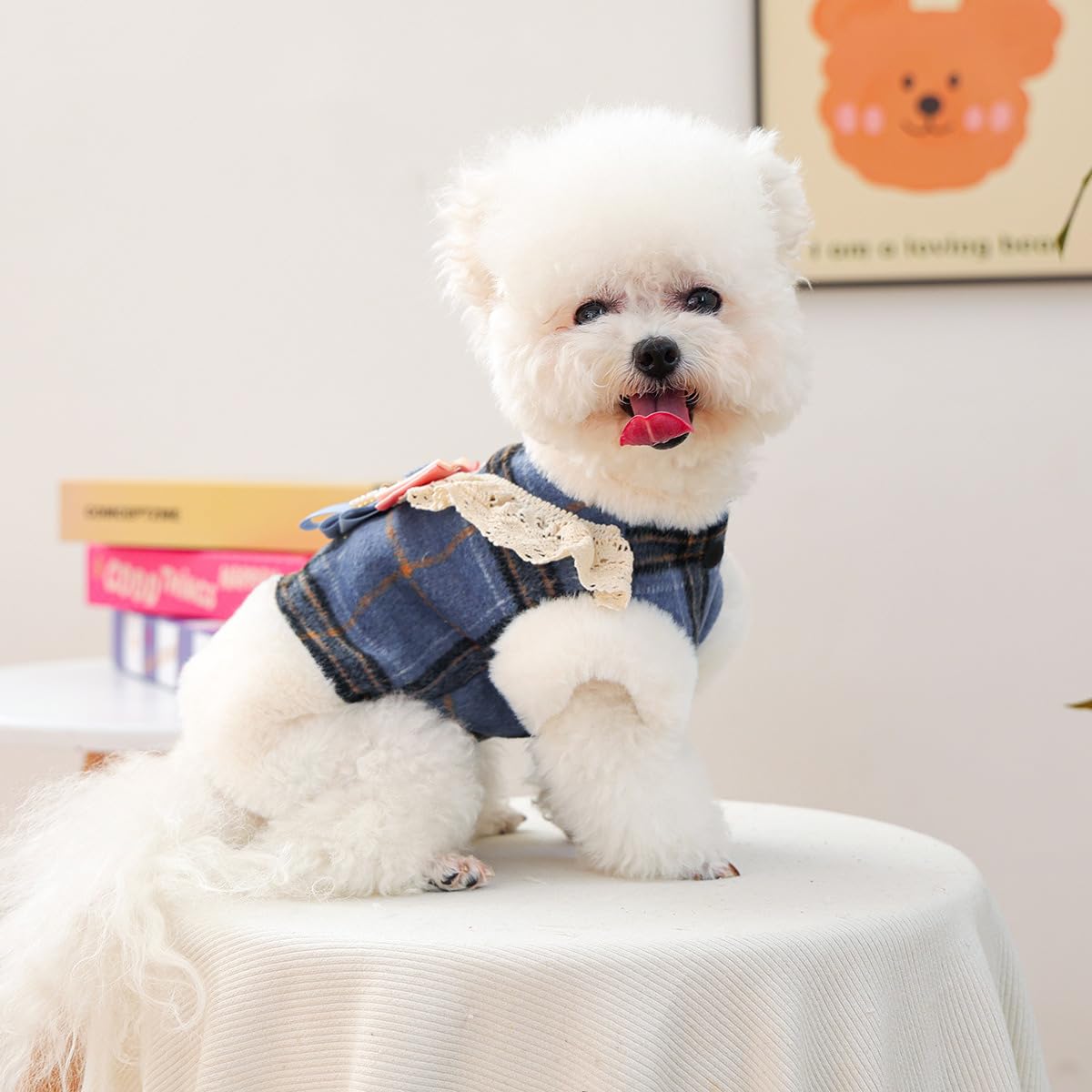 Small Dog Winter Denim Jacket Fleece Lined Puppy Cute Jean Clothes Cold Weather Dog Cozy Warm Coats Yorkie Chihuahua Stylish Clothes Christmas Birthday Holiday Outfits