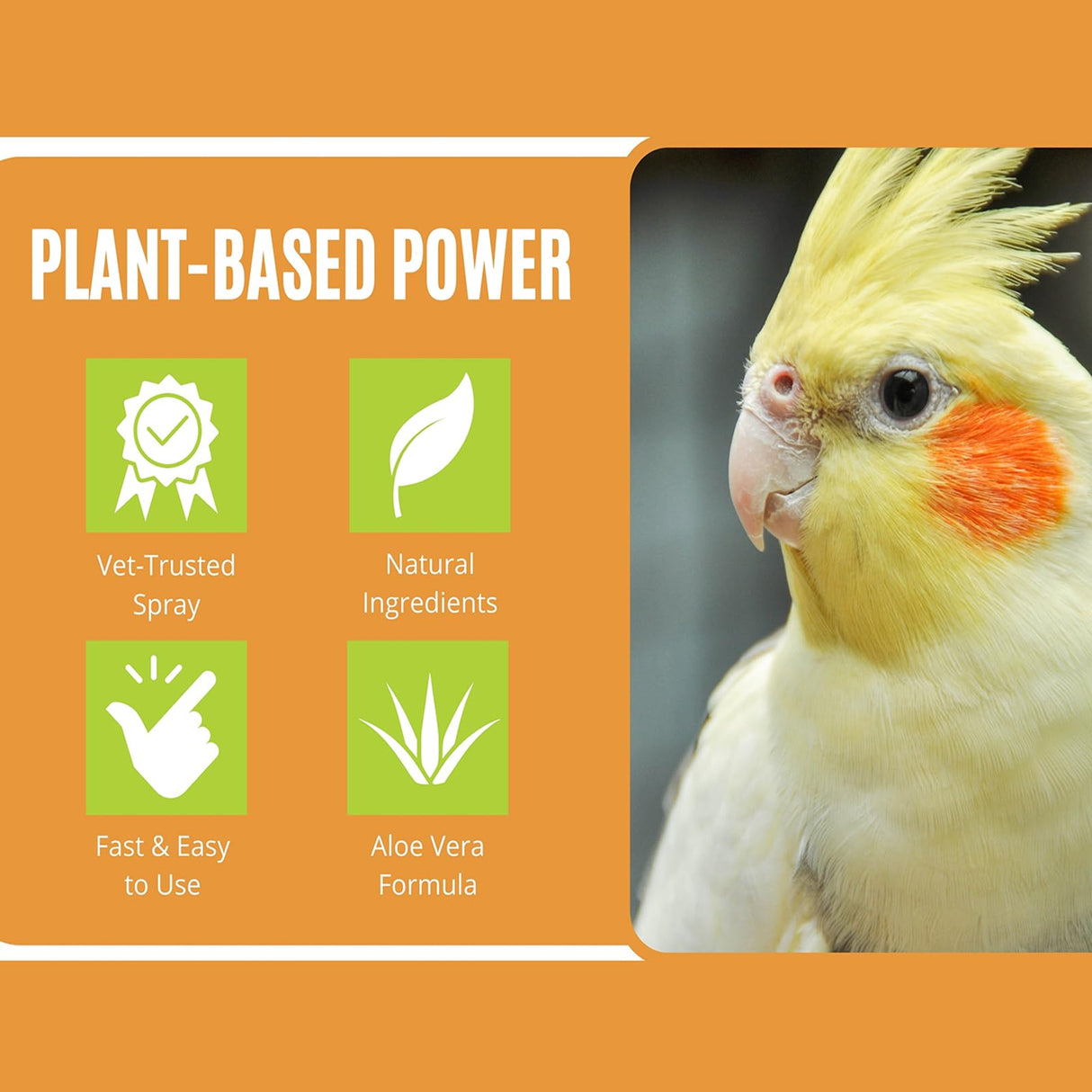 Bird Aloe Vera Spray – Soft Feathers Conditioner & Skin Moisturizer -16 OZ- for Parrots, Cockatiels, Conures & All Birds – Natural Aloe Mist for Molting Relief, Sooths Itchy Dry Skin Feather Plucking