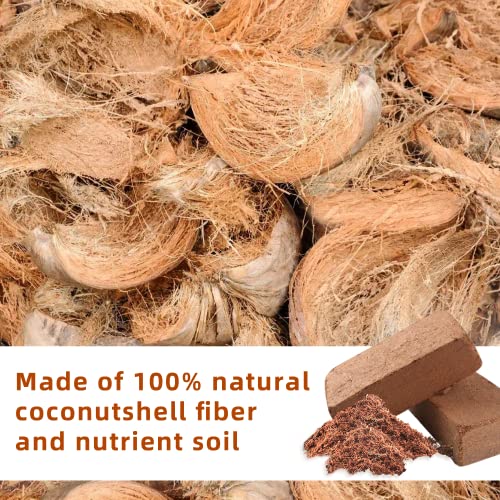 Premium Organic Coconut Coir Bricks - 6 Pack of 13.8 Gallon Bricks for Planting, Gardening, and Potting Soil Substrate. Low EC & pH Balanced 100% Organic Peat Moss Mix with Fiber from Coconut Husks