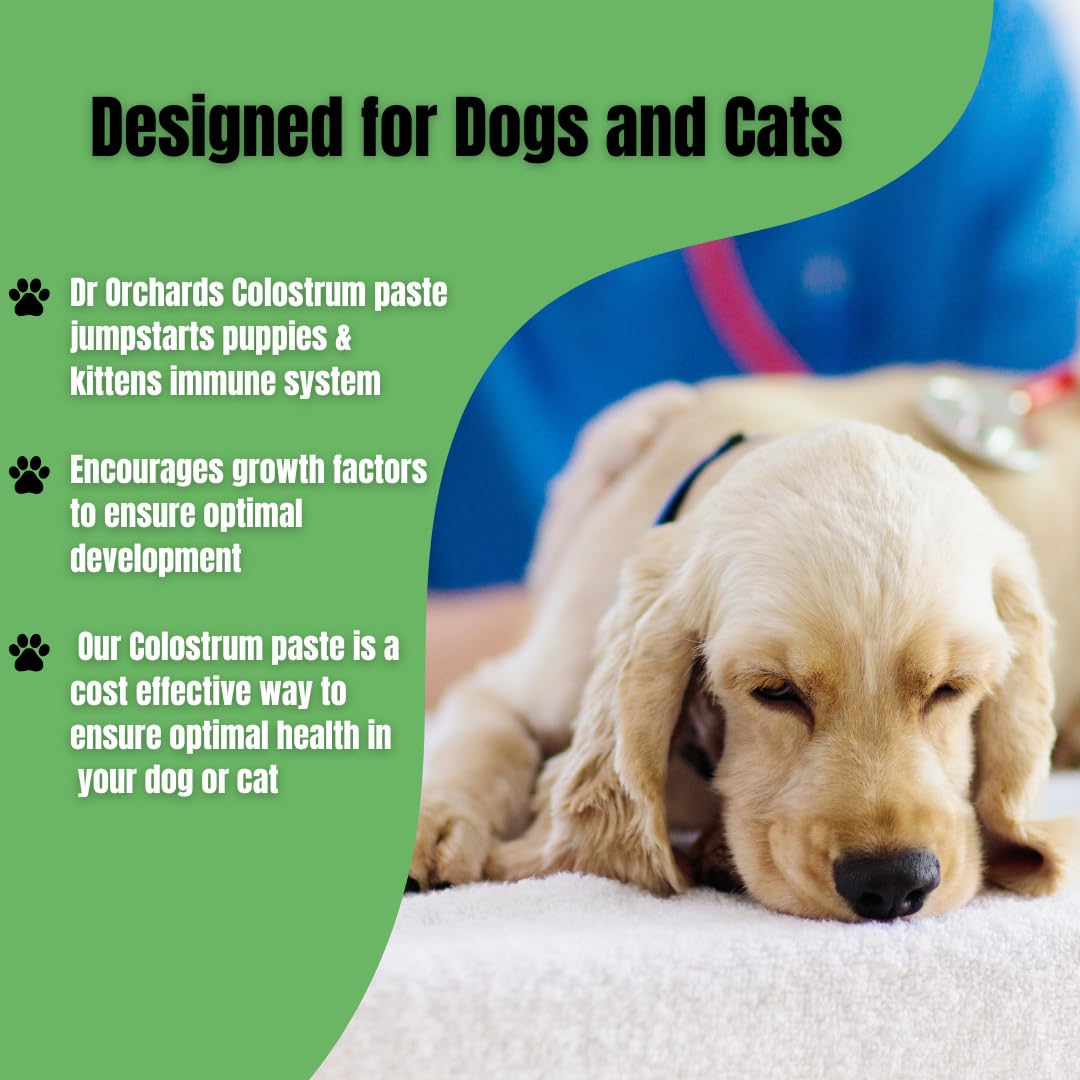 Dr. Orchard's Colostrum Paste, Immune Support Supplement for Puppies and Kittens, Bio-Active IgG Formula, 30g