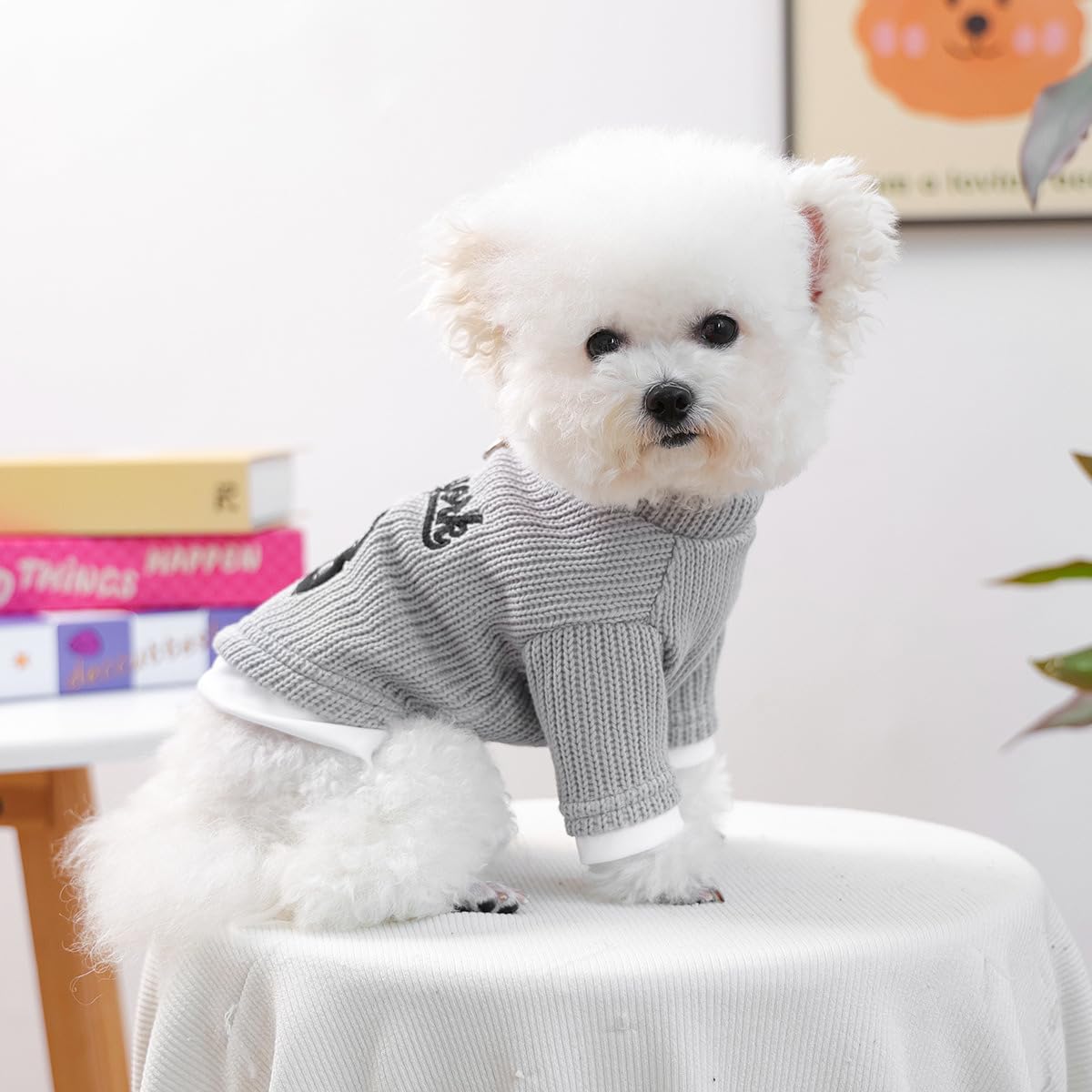 Dog Sweater for Small Dogs Girl Cute Flower Puppy Knitted Sweater Winter Knitwear Small Dog Christmas Clothes Cat Warm Lightweight Pullover Outfits Chihuahua Yorkie Teacup Holiday Birthday Clothes