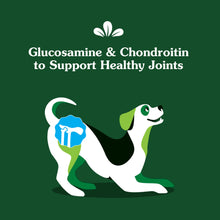Load image into Gallery viewer, Greenies Supplements Hip and Joint Supplements for Dogs, Chicken Flavor, 16.2 oz. 80-Count