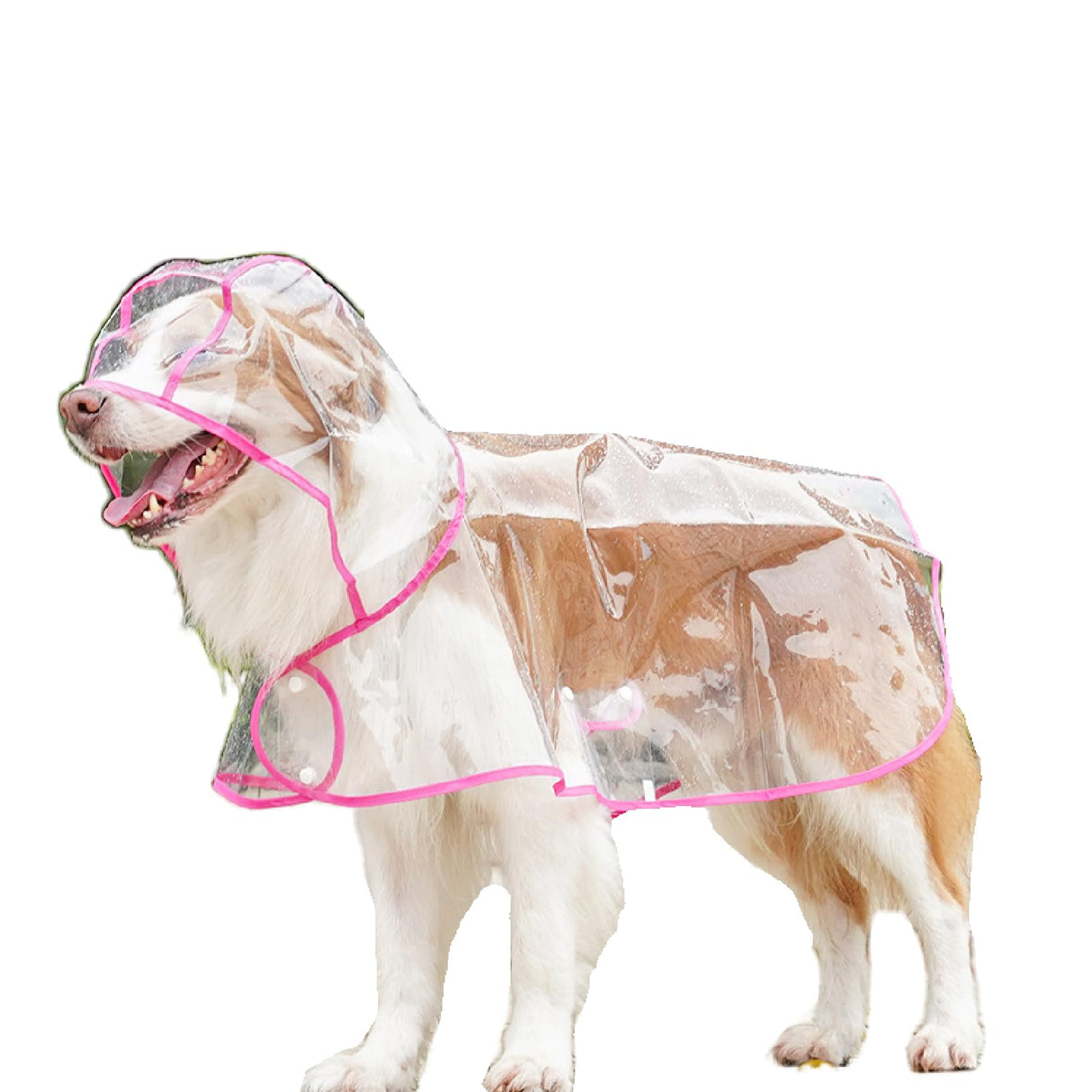 Pet Raincoat - Multi-Color Trim Transparent Waterproof Dog Rainwear, Large Dog Golden Retriever Labrador Rain Jacket for Outdoor Walks