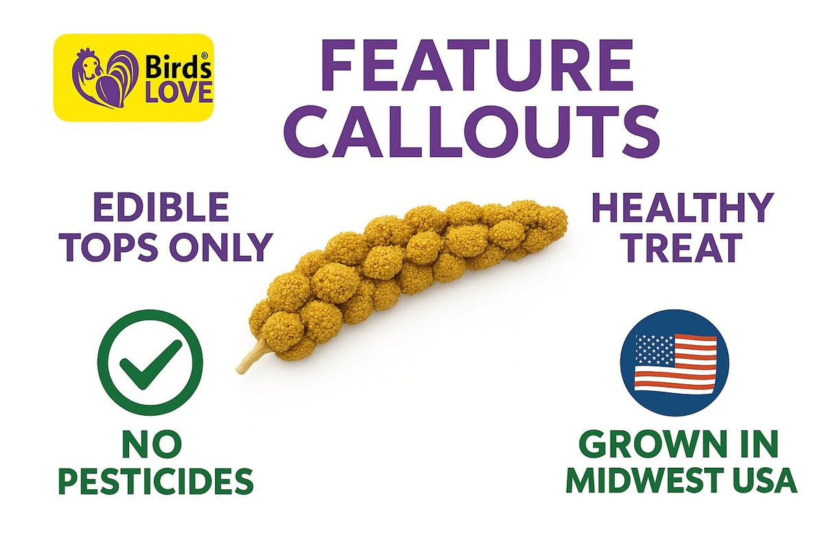 5lbs Economy & Special Spray Millet for Birds – GMO-Free, No Stems (Only Edible Tops) – 100% Natural Sun-Dried Foraging Treat for Cockatiels, Lovebirds, Parakeets, Finches & Canaries