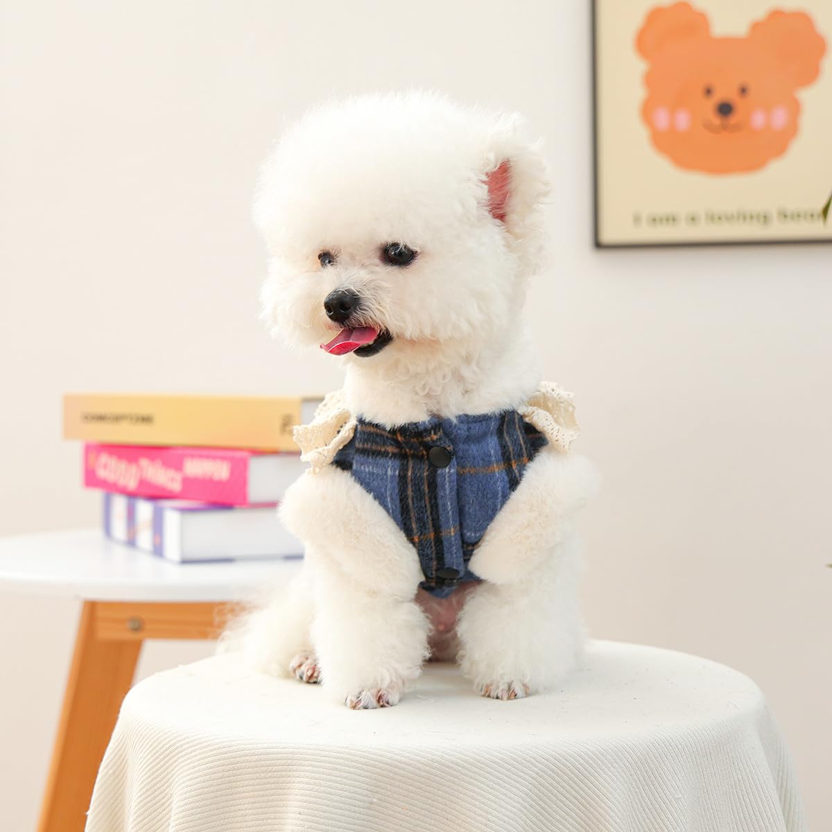 Small Dog Winter Denim Jacket Fleece Lined Puppy Cute Jean Clothes Cold Weather Dog Cozy Warm Coats Yorkie Chihuahua Stylish Clothes Christmas Birthday Holiday Outfits