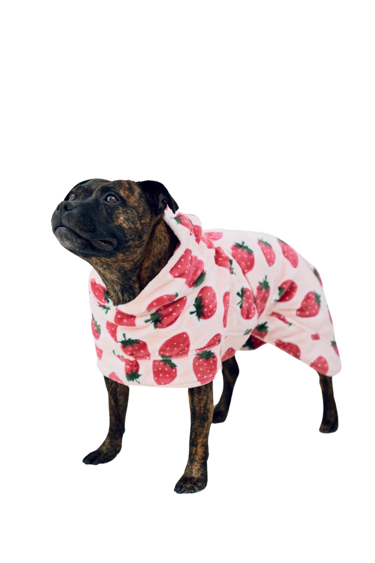 Darren & Phillip Calming Dog Robe for All Breeds - Ultra-Soft Strawberry Dog Robe with Adjustable Belly Strap - Perfectly Matches Womenβs Plush Robe - Medium