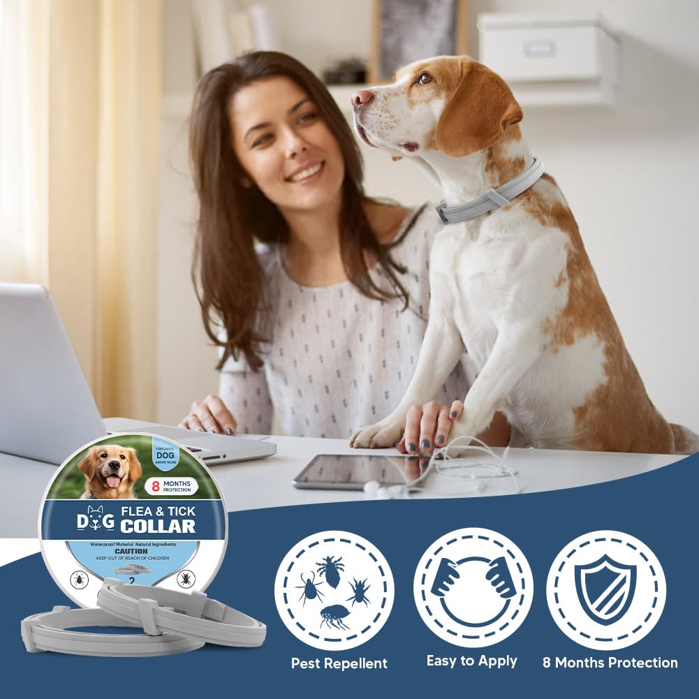 NJKPUYT Flea Collar for Dogs, Tick Collars for Dogs, Dog Fleas Collar, 8-Month Protection,Safe Repellent for Fleas, Ticks & Mosquitoes,Fits Small, Medium & Large Dog-2P