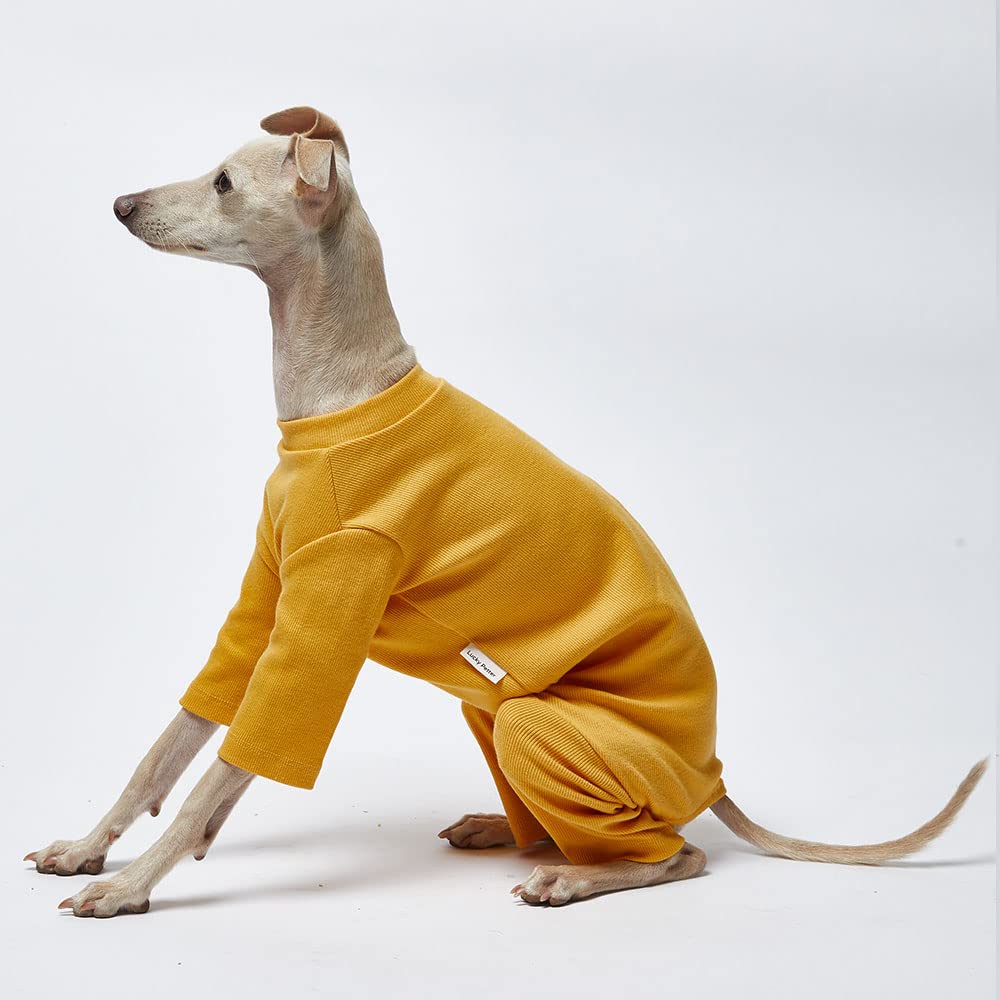 Lucky Petter Small Dog Pajamas - Basic Onesie Doggie Jammies Stretchable Dog Jumpsuit Bodysuit pjs (2X-Large, Basic Mustard)