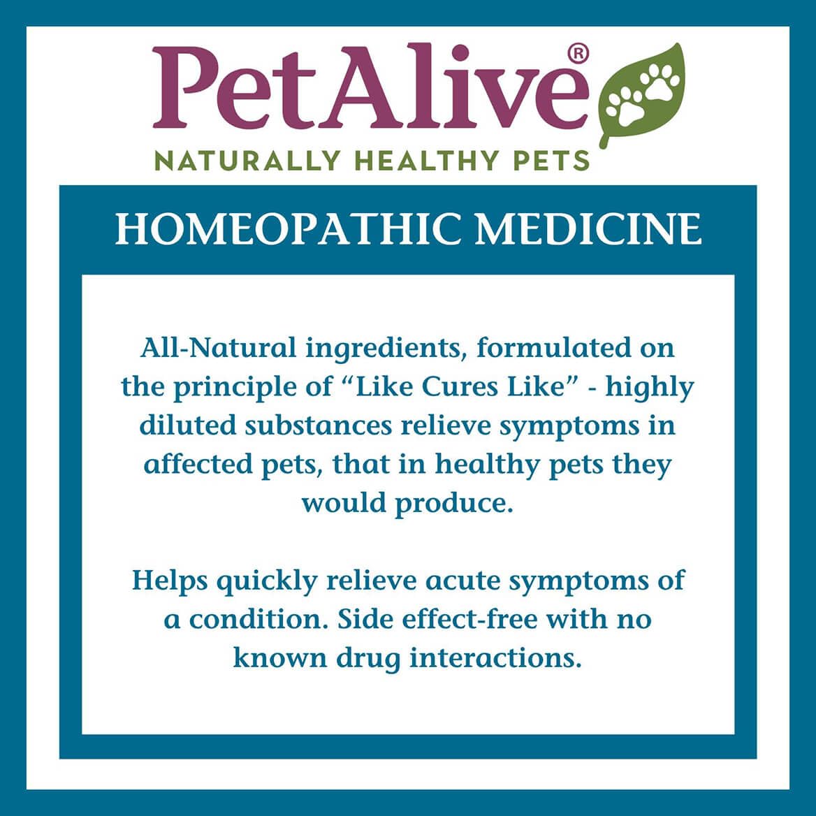 PetAlive ComfyPet Pain Relief for Dogs & Cats – Natural Homeopathic Supplement for Pet Joint & Mobility Support – 2 fl oz Drops – Made in USA