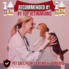 Load image into Gallery viewer, Mister Max Anti Icky Poo Pet Urine Enzyme Cleaner & Feces Odor Remover, Enzymatic Cleaner for Dog & Cat Urine, Pet Odor Remover Spray, 1 Gallon (Original Scent)