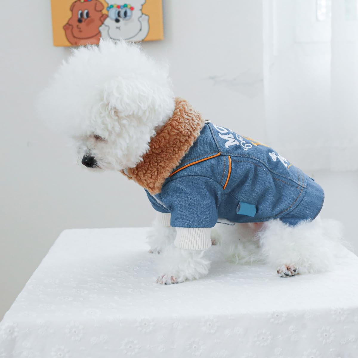 Dog Leather Jacket Fleece Lined Puppy Leather Coat Small Dog Winter Stylish Jacket Cold Weather Chihuahua Yorkie Warm Windproof Waterproof Coats Pet Christmas Holiday Birthday Dog Clothes