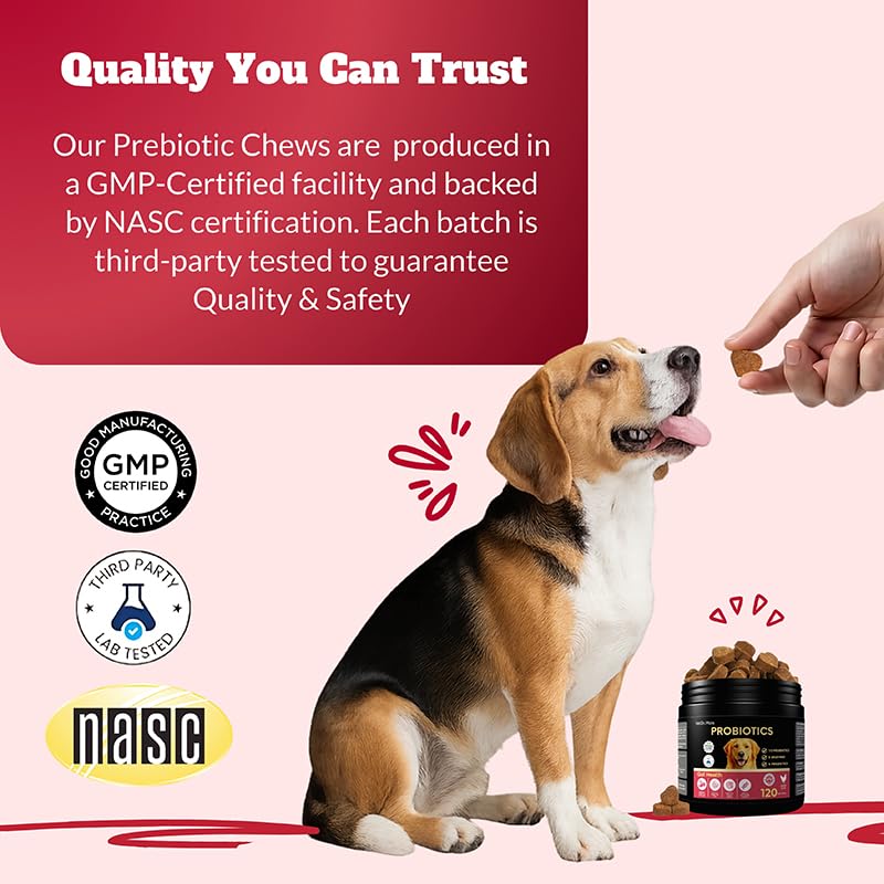Dog Probiotics Chews Supplement – Digestive Support & Gut Health for Dogs, Helps Loose Stool, Gas & Sensitive Stomachs, Supports Itchy Skin, Allergy & Immune Health – 120 Ct