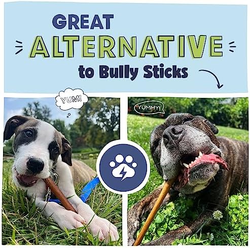 Pawstruck All Natural 11-12" Roasted Collagen Sticks for Dogs – Low Odor & Long-Lasting Bully Stick & Rawhide Alternative, Single Ingredient, Vet Approved – 5 Pack