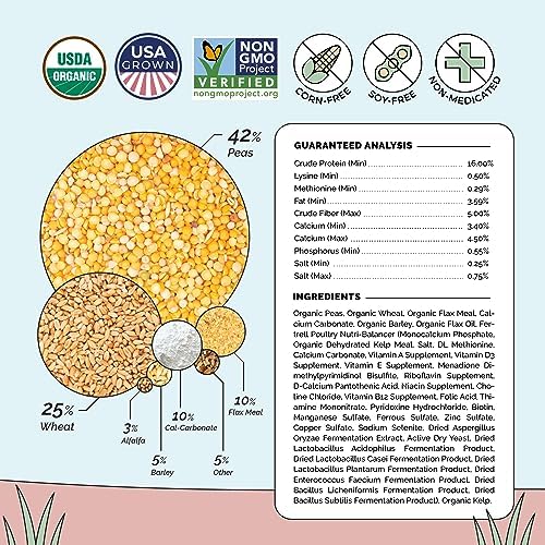 Organic Chicken Feed – Layer Whole Grain, Non-GMO, USA Grown, 16% Protein, Corn-Free, Soy-Free, Non-Medicated Feed for Chickens, 2 lb Sample