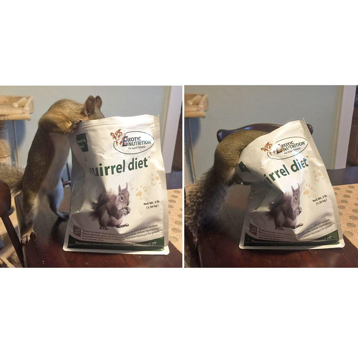 Exotic Nutrition Deluxe Squirrel Diet (2 lb.) - Staple Diet with High Protein Pellets for Captive Squirrels - Grey, Ground, Flying, and Chipmunks