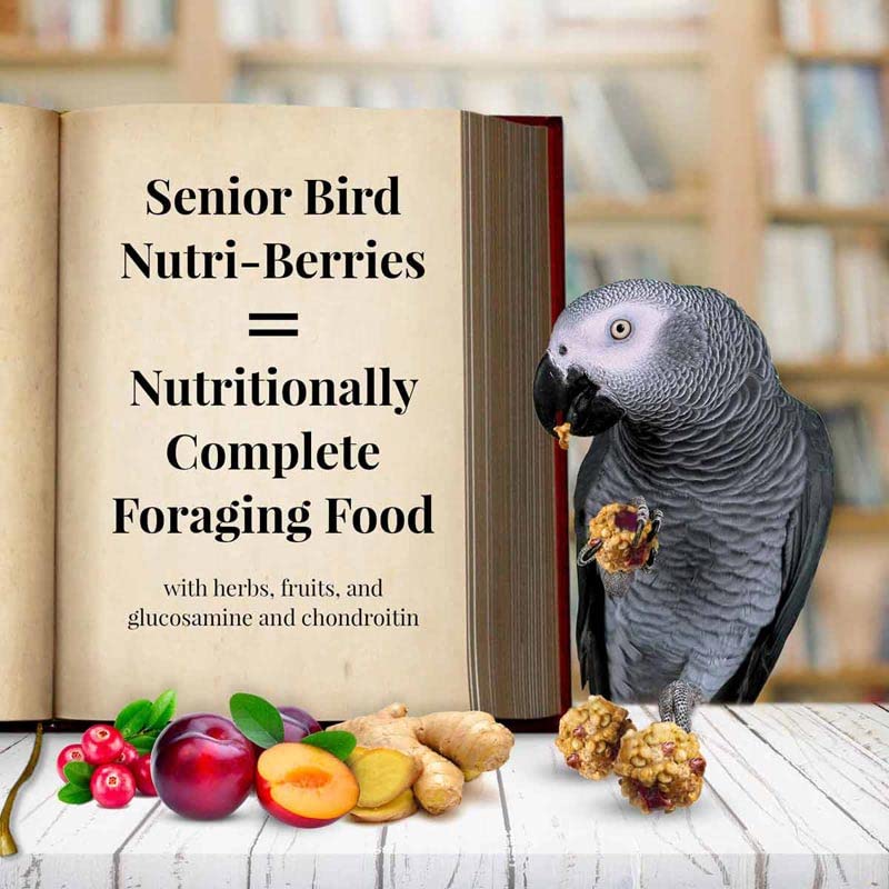 LAFEBER'S Senior Bird Nutri-Berries Pet Bird Food, Made with Non-GMO and Human-Grade Ingredients for Parrots (10 oz Pack of 2)