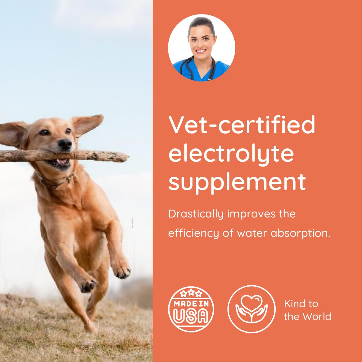 Petralyte Dog Electrolytes and Joint Supplement | Hydration Support for Dogs w/Glucosamine, Chondroitin & More | Electrolytes for Dogs with Prebiotics | for Chicken Lovers | 16 Packets