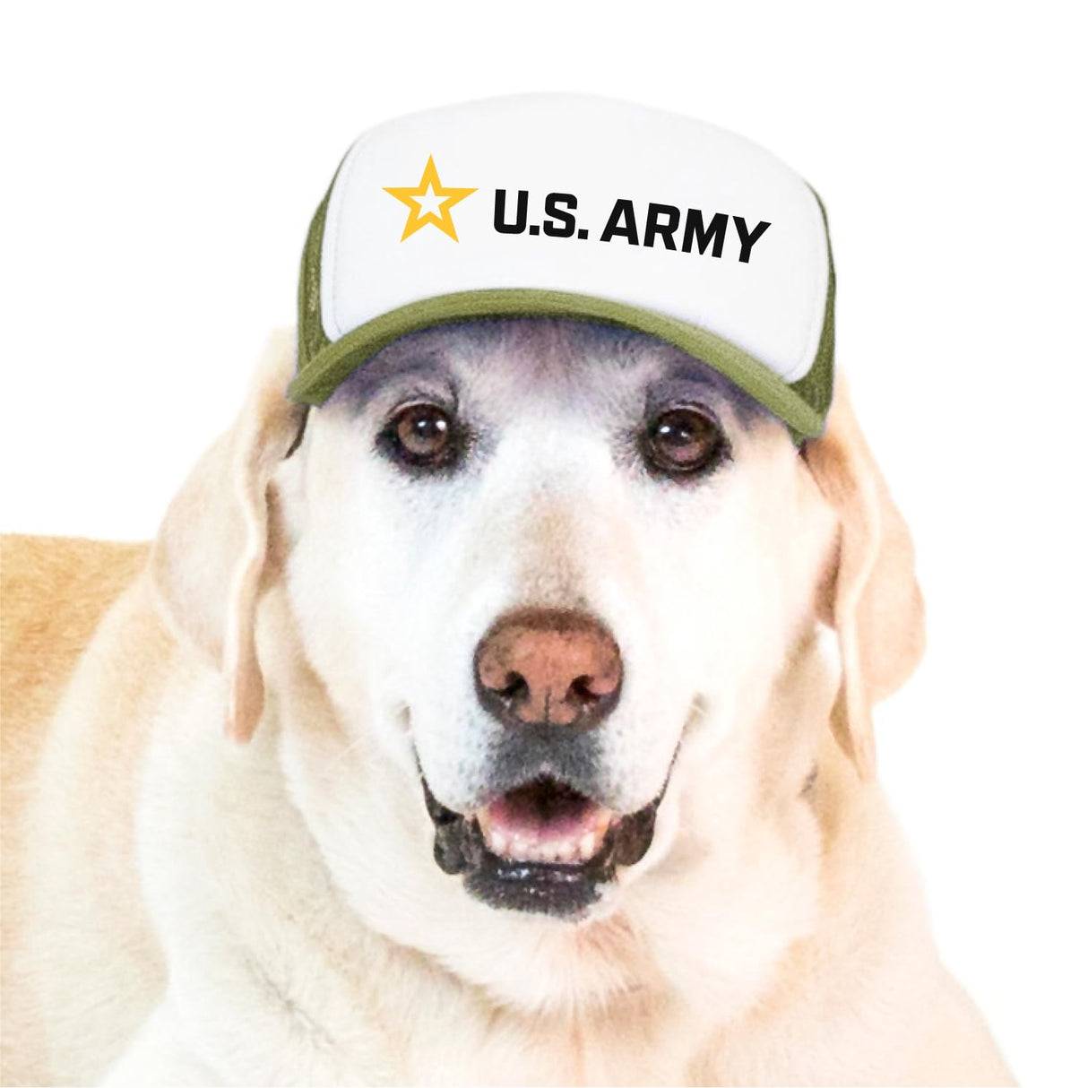 The Official U.S. Army Dog Hat – PupLid Trucker Hat for Dogs (Green/Black Logo (Long), Large)