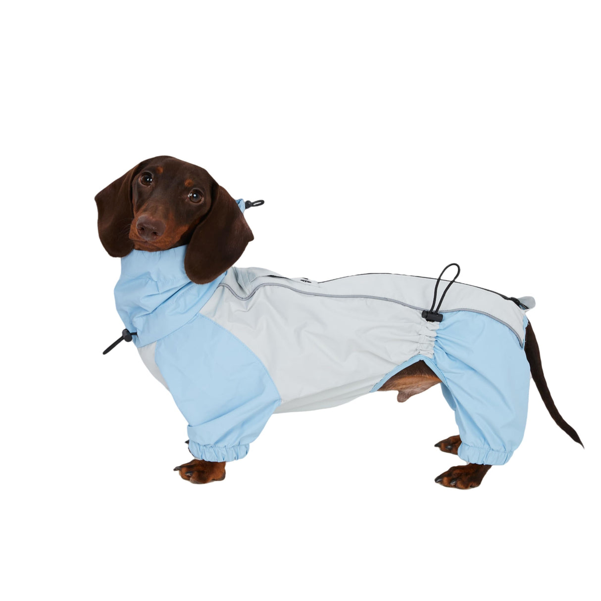Dachshund Dog Raincoat with Legs, Waterproof Full Body Jacket, Hooded Outdoor Windbreaker for Small & Medium Dogs, Mini Dachshund Puppy Coat (Medium (13-17 lbs))